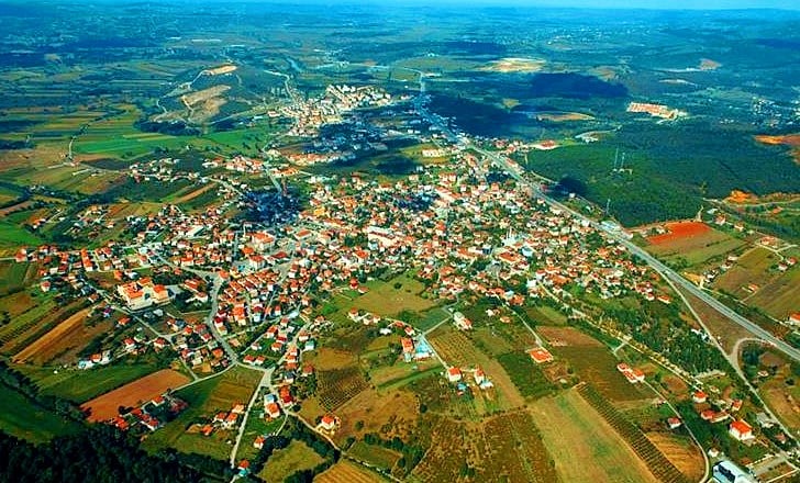 Söğütlü Söğütlü